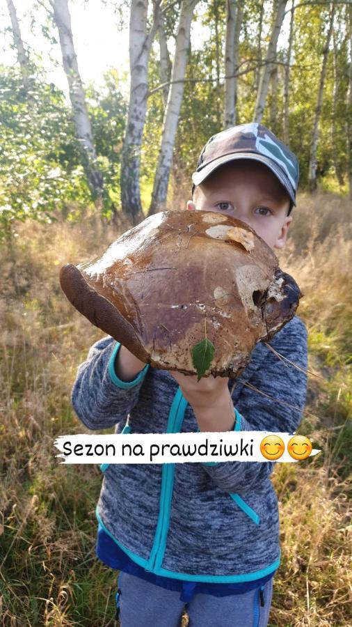 Aris Pokoje Goscinne Wojnicz Luaran gambar